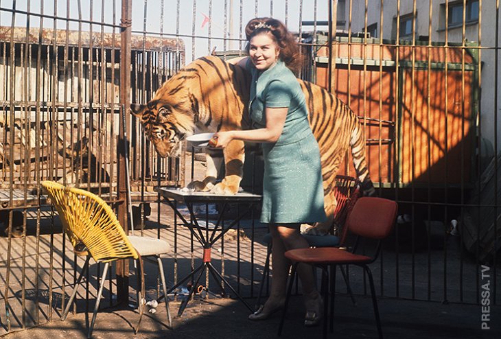 Трагическая судьба Маргариты Назаровой - известной укротительницы тигров